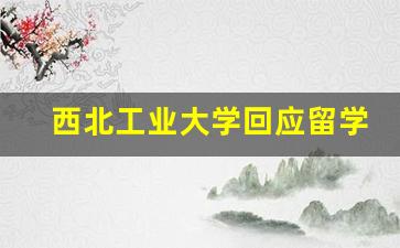 西北工业大学回应留学项目争议 明确项目定位(西北工业大学