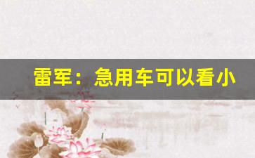 雷军：急用车可以看小鹏理想特斯拉(雷军与小鹏汽车)