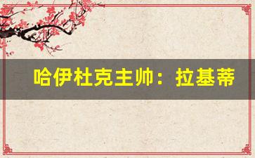 拉基蒂奇退役发言