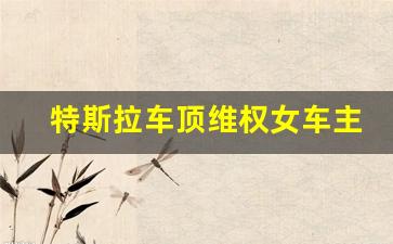 特斯拉车顶维权女车主二审败诉 名誉权纠纷终落幕